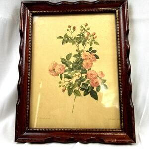 Vintage P.J. Pierre Joseph Redoute lithography Mourlet from 1939 Limited Edition